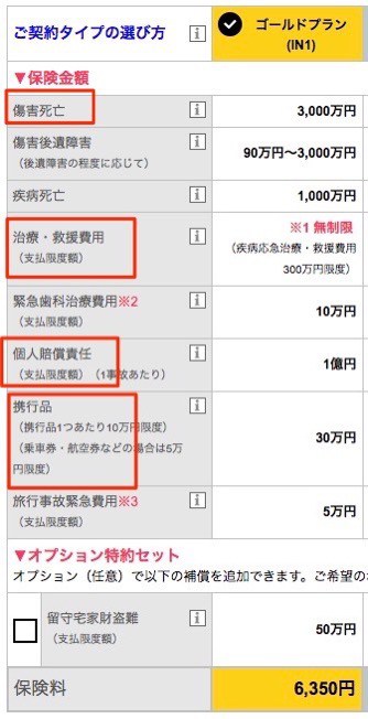 必要な海外旅行保険